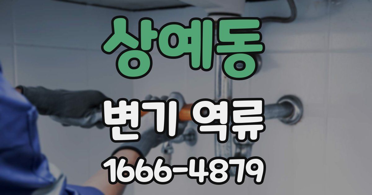 상예동 변기 역류
