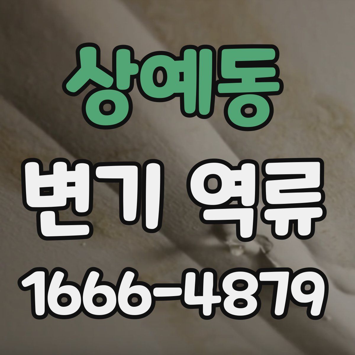 상예동 변기 역류