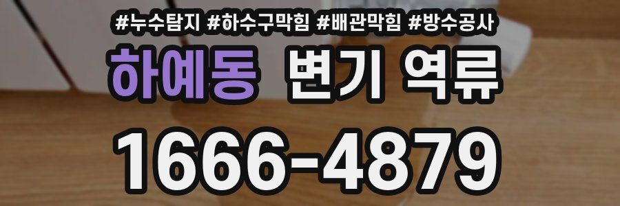 하예동 변기 역류