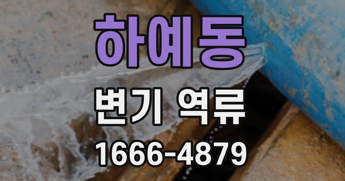 하예동 변기 역류
