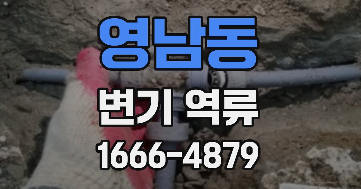 영남동 변기 역류