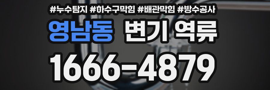 영남동 변기 역류