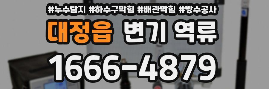대정읍 변기 역류