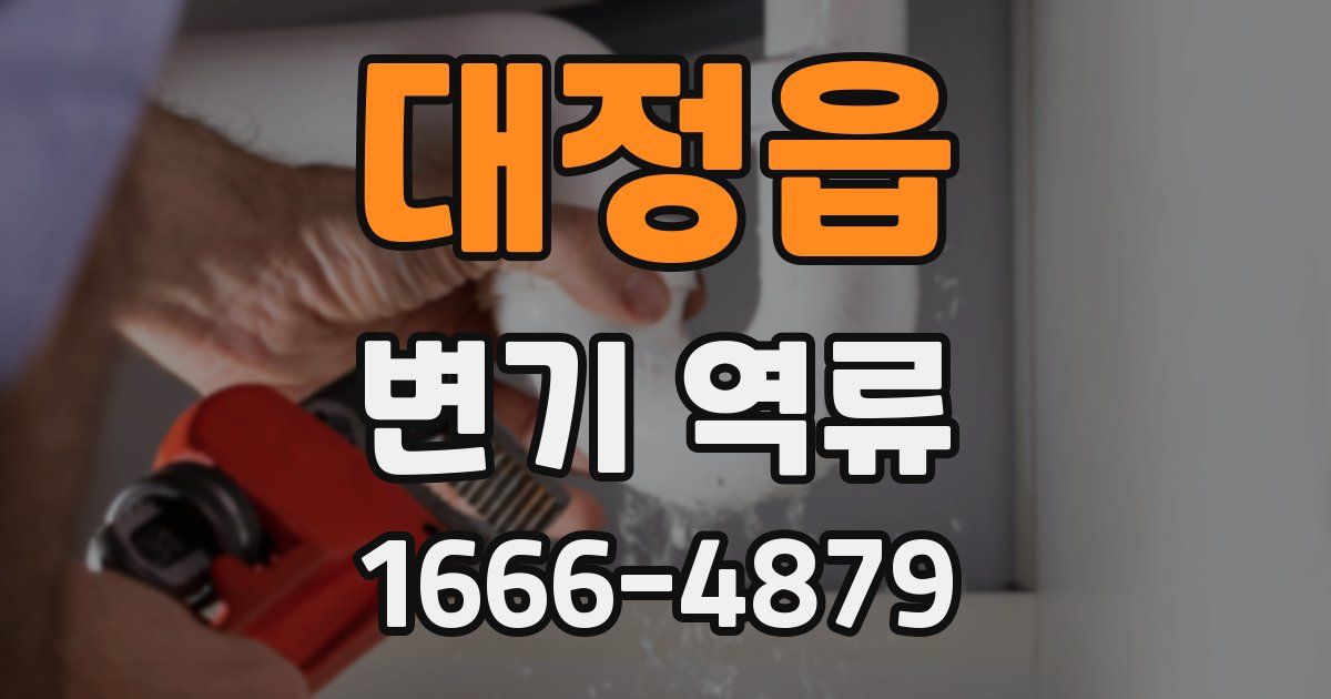 대정읍 변기 역류