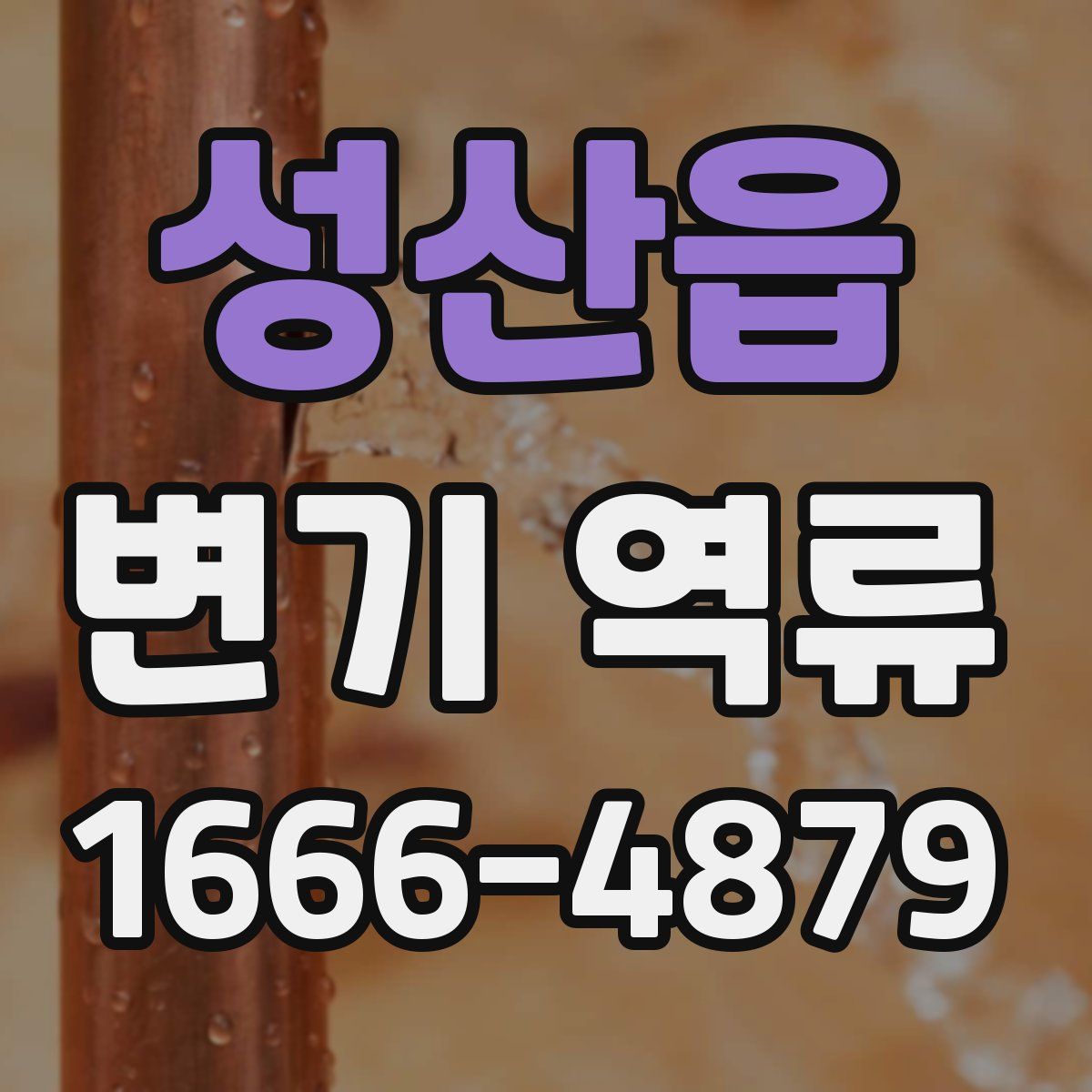 성산읍 변기 역류