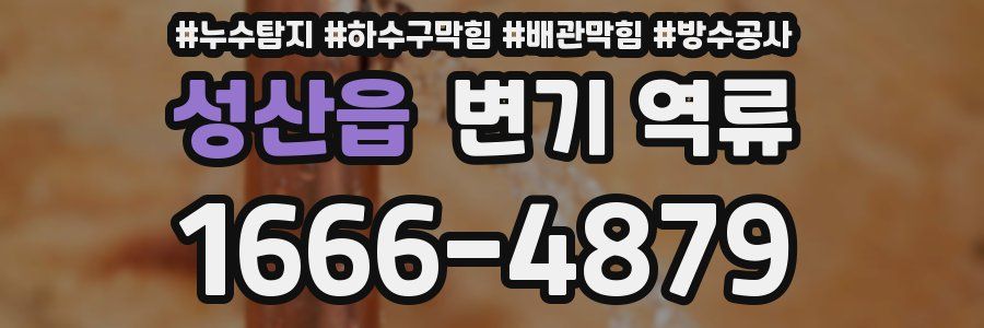 성산읍 변기 역류