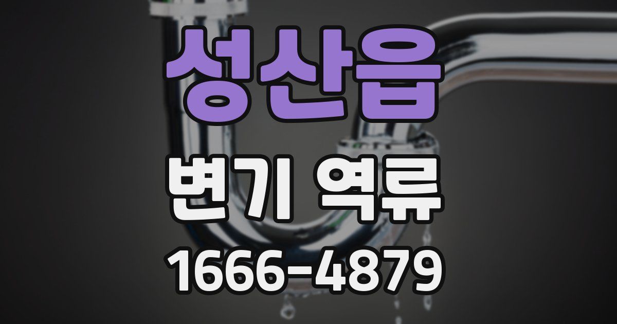 성산읍 변기 역류
