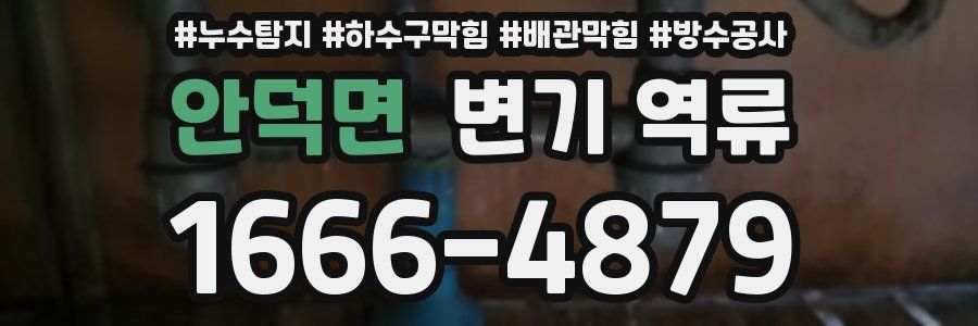 안덕면 변기 역류