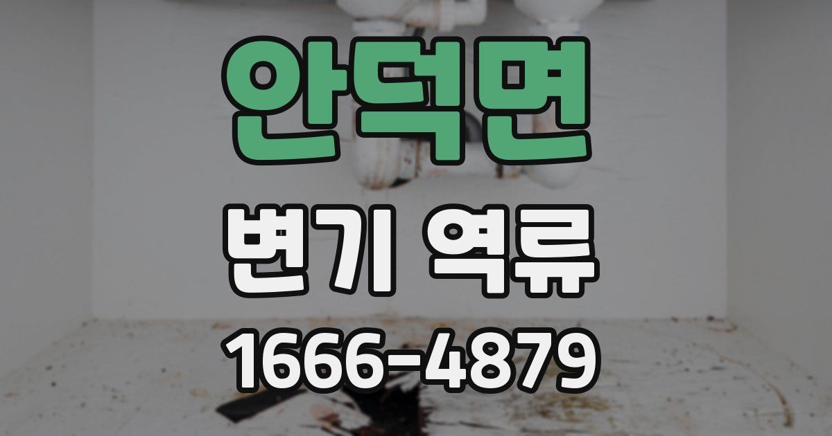 안덕면 변기 역류