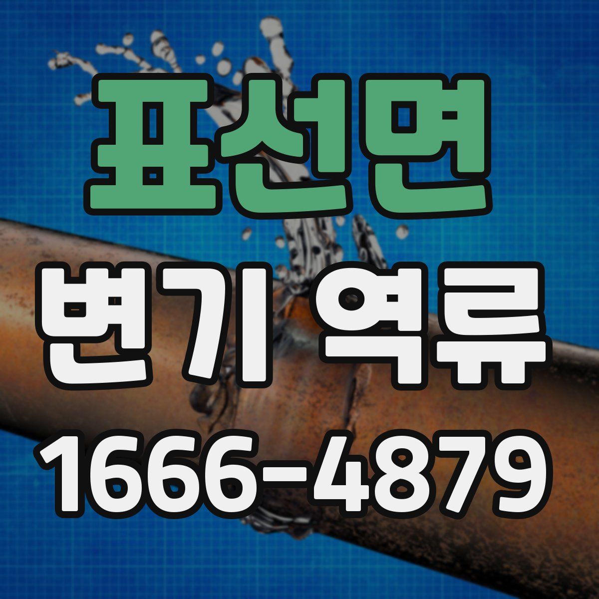 표선면 변기 역류