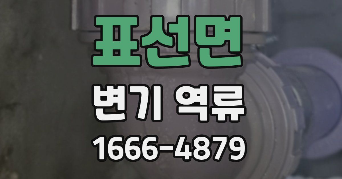 표선면 변기 역류