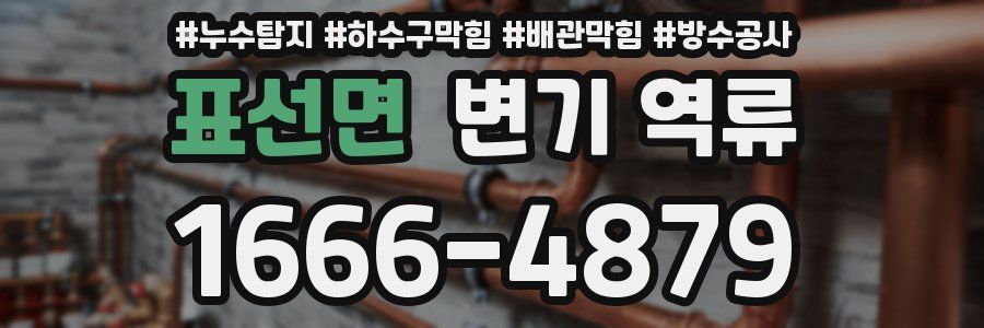 표선면 변기 역류