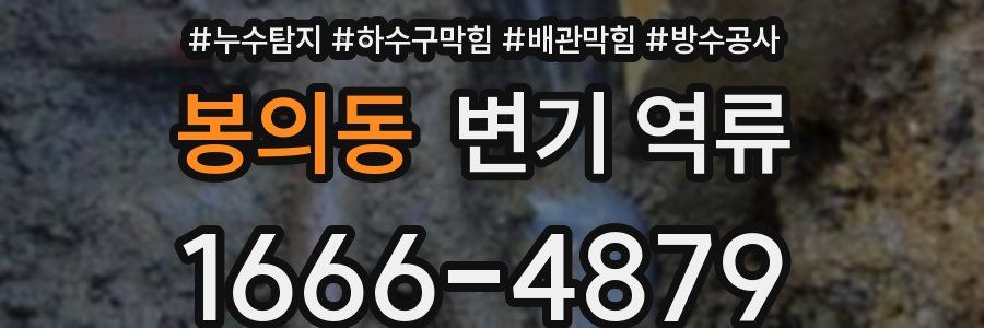 봉의동 변기 역류
