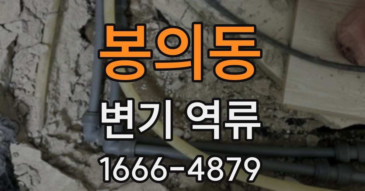 봉의동 변기 역류