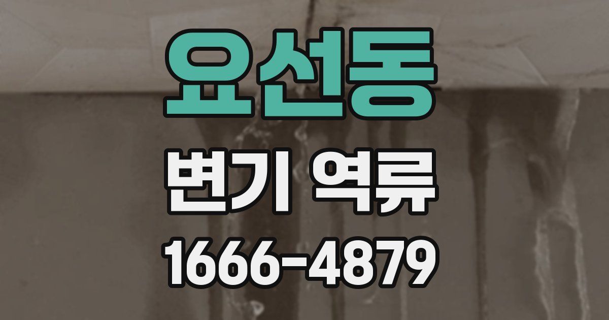 요선동 변기 역류
