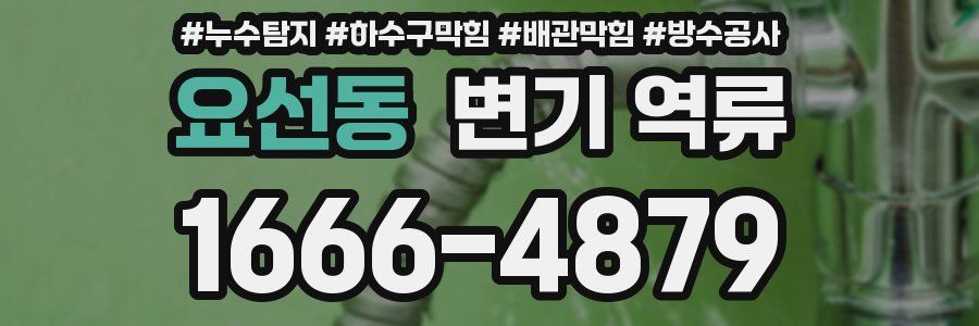 요선동 변기 역류