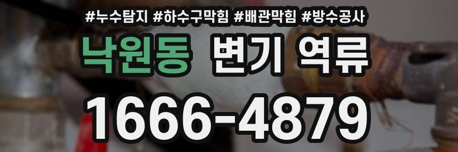 낙원동 변기 역류
