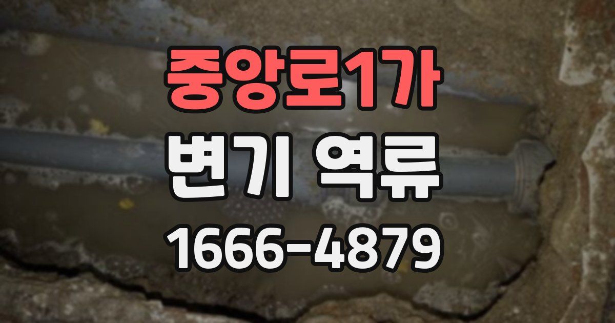 중앙로1가 변기 역류
