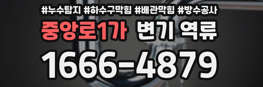 중앙로1가 변기 역류