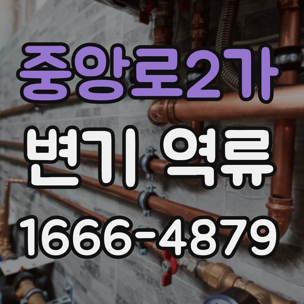 중앙로2가 변기 역류 단독주택에서 확인할 배관 연결부