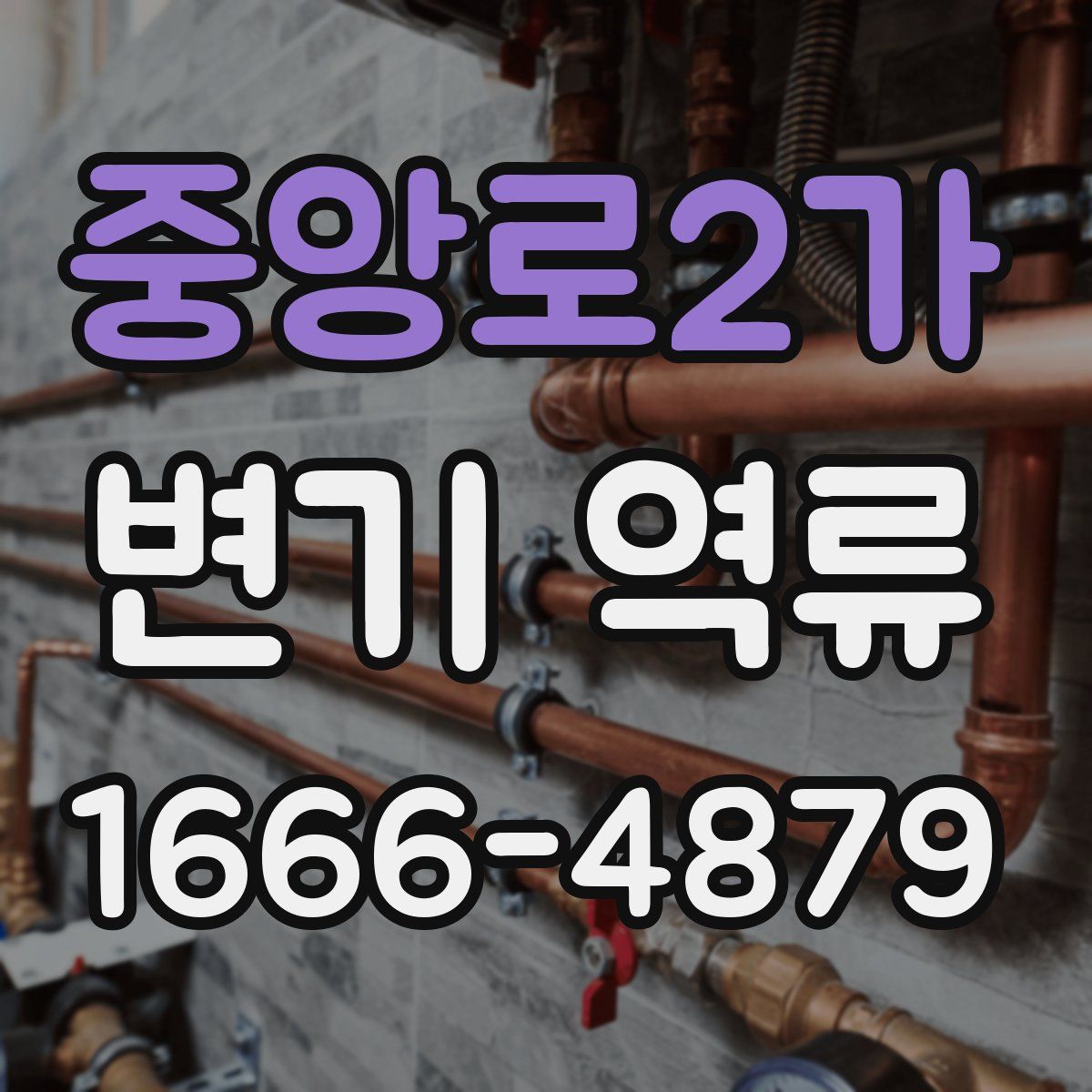중앙로2가 변기 역류