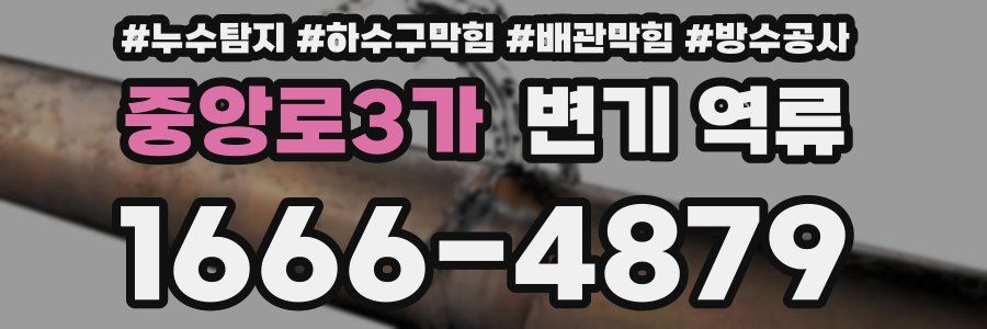 중앙로3가 변기 역류