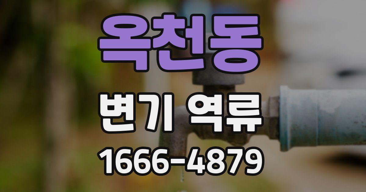 옥천동 변기 역류