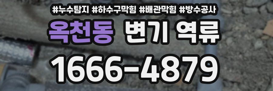 옥천동 변기 역류