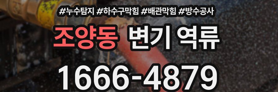 조양동 변기 역류