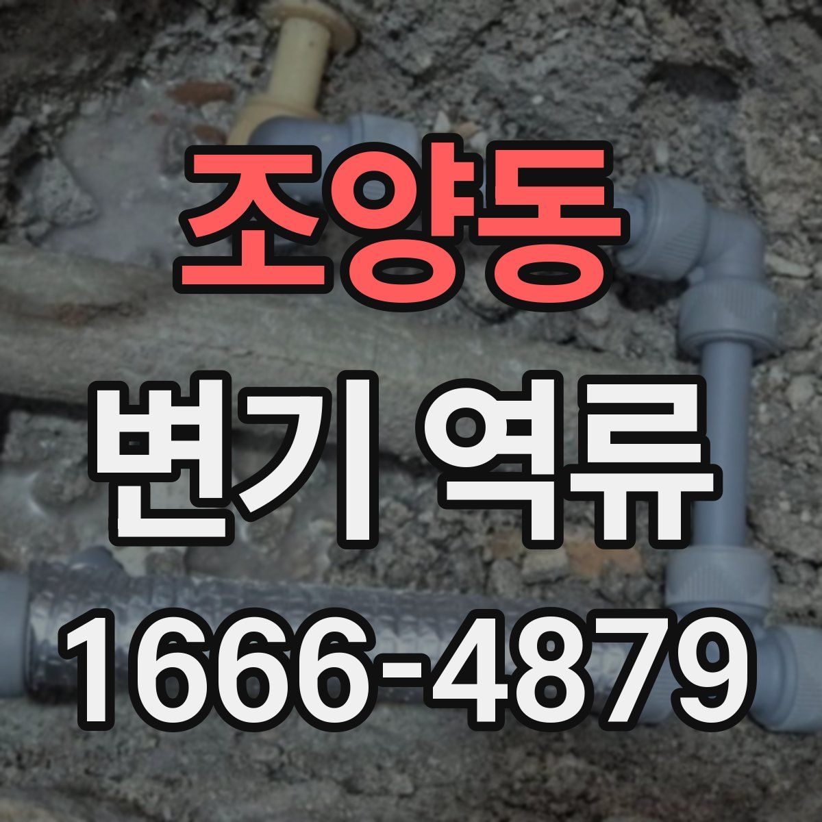조양동 변기 역류