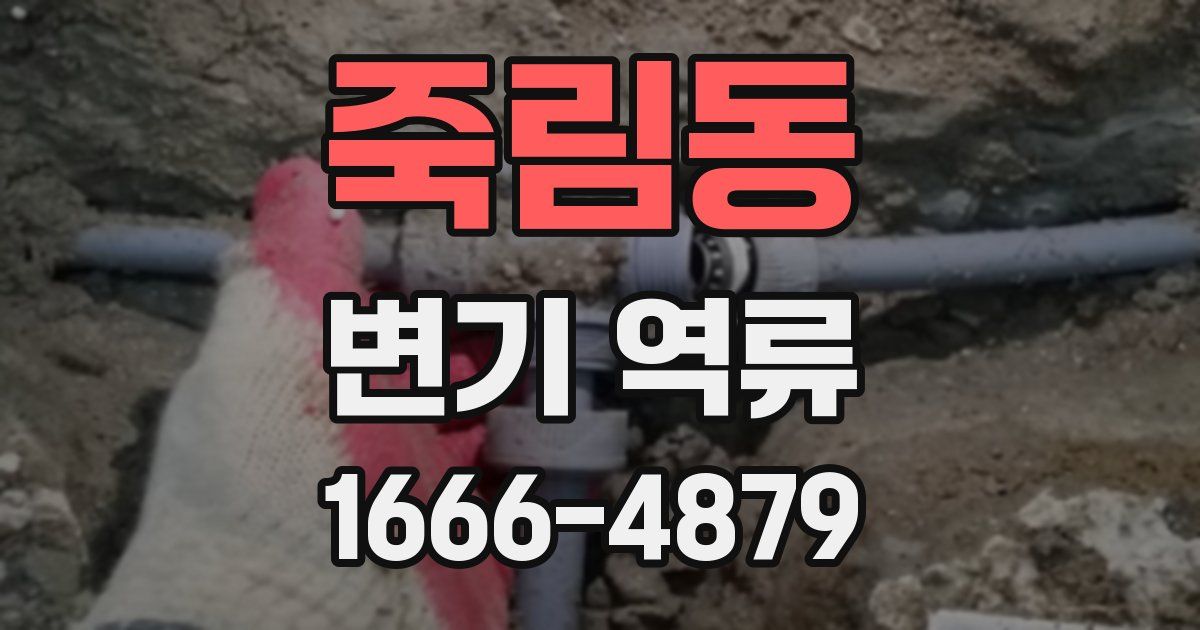 죽림동 변기 역류