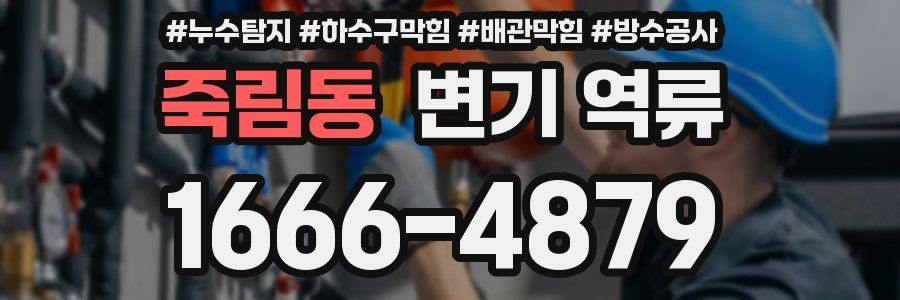 죽림동 변기 역류