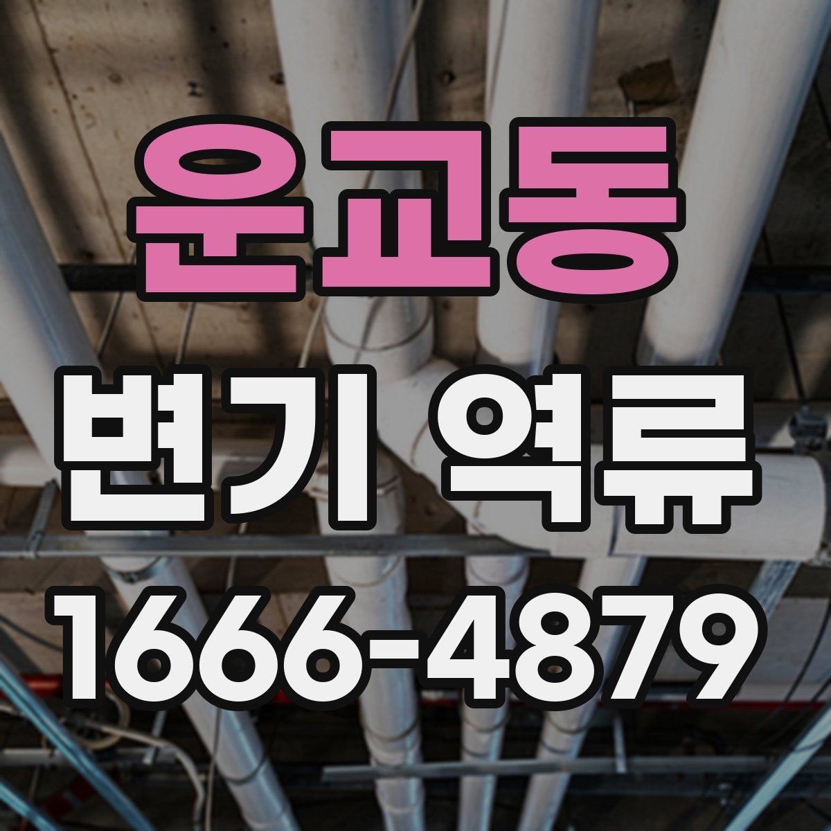 운교동 변기 역류 증상별로 정리한 자가 점검 리스트