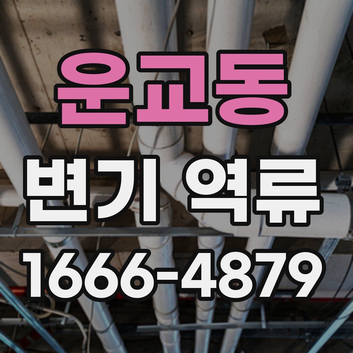 운교동 변기 역류