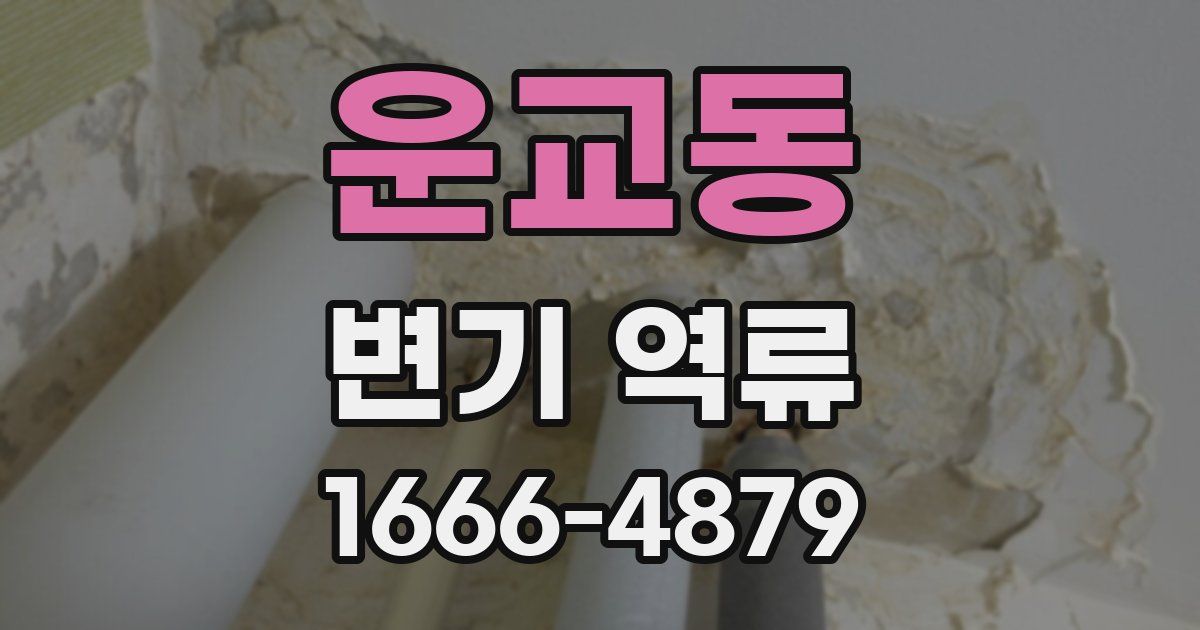 운교동 변기 역류