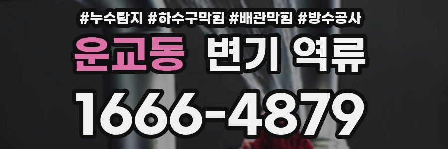 운교동 변기 역류
