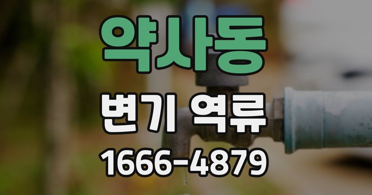 약사동 변기 역류