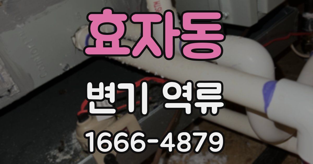효자동 변기 역류