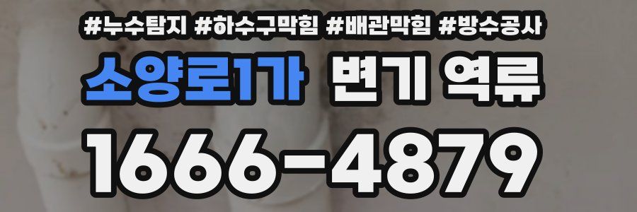 소양로1가 변기 역류