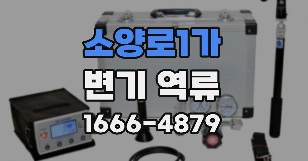소양로1가 변기 역류