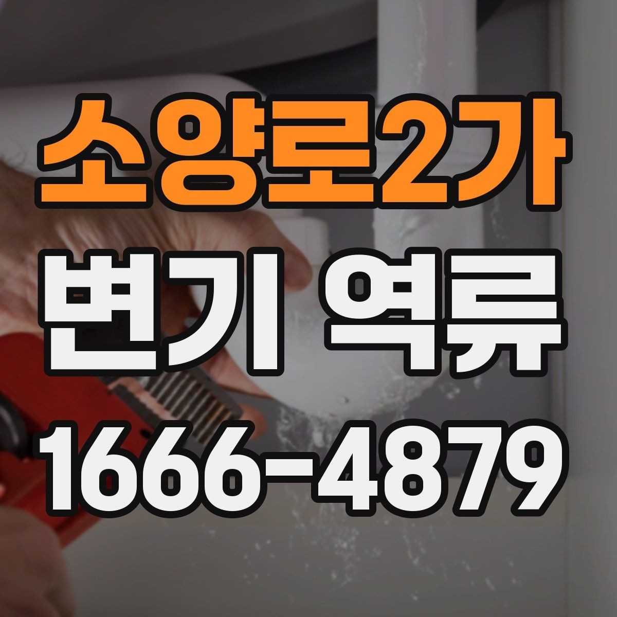 소양로2가 변기 역류 증상이 가벼워 보여도 주의할 이유