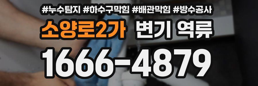 소양로2가 변기 역류