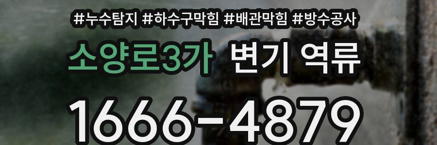 소양로3가 변기 역류