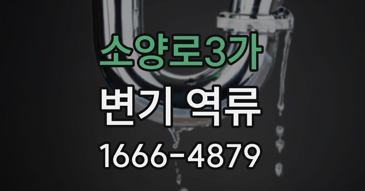 소양로3가 변기 역류