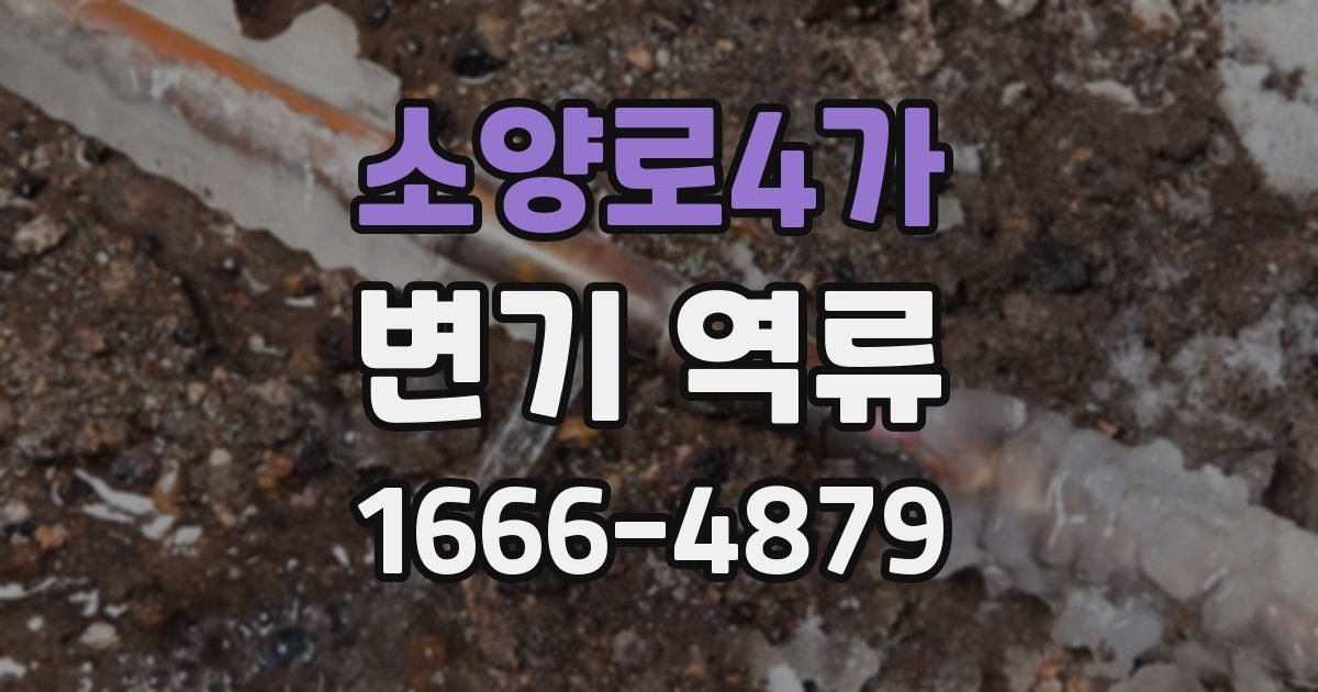 소양로4가 변기 역류