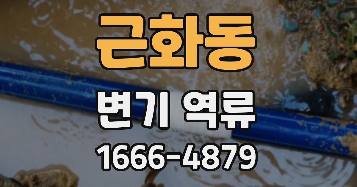 근화동 변기 역류