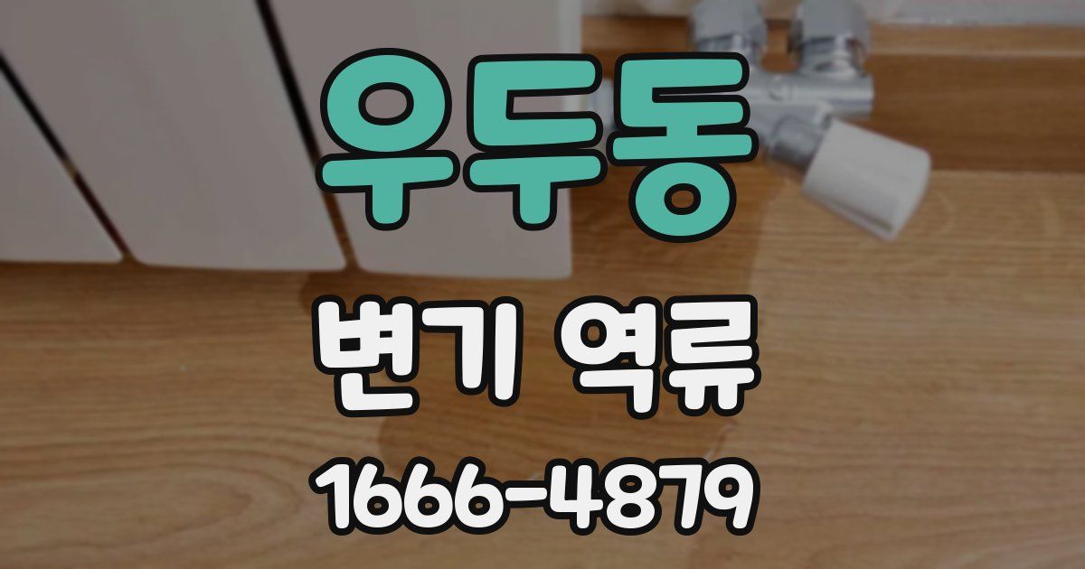 우두동 변기 역류
