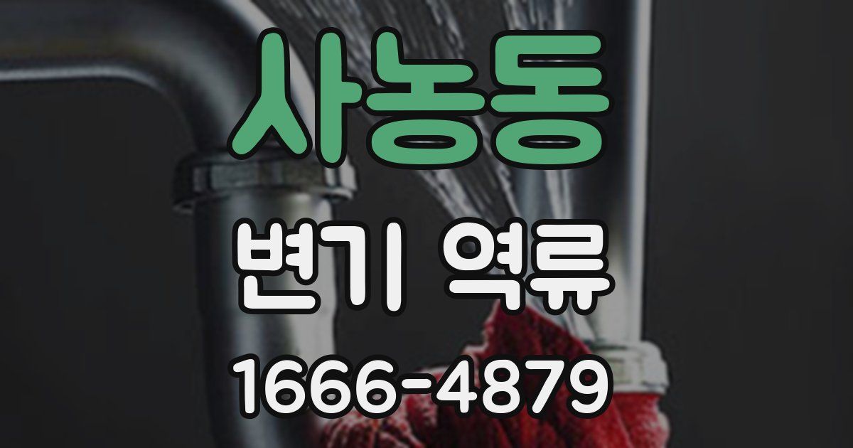 사농동 변기 역류
