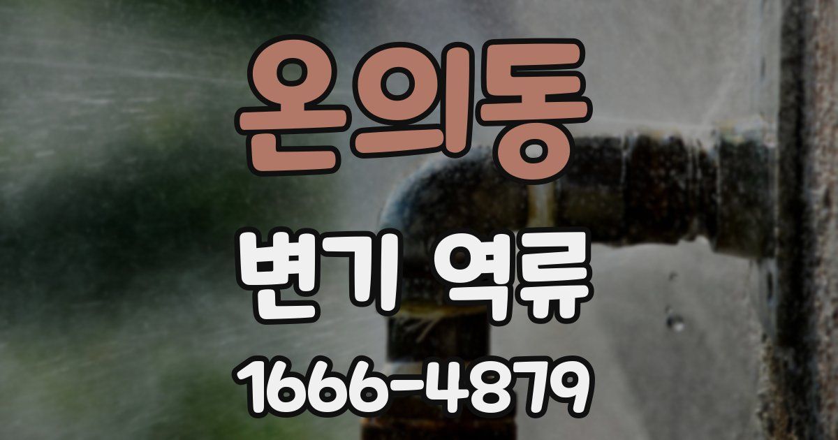 온의동 변기 역류
