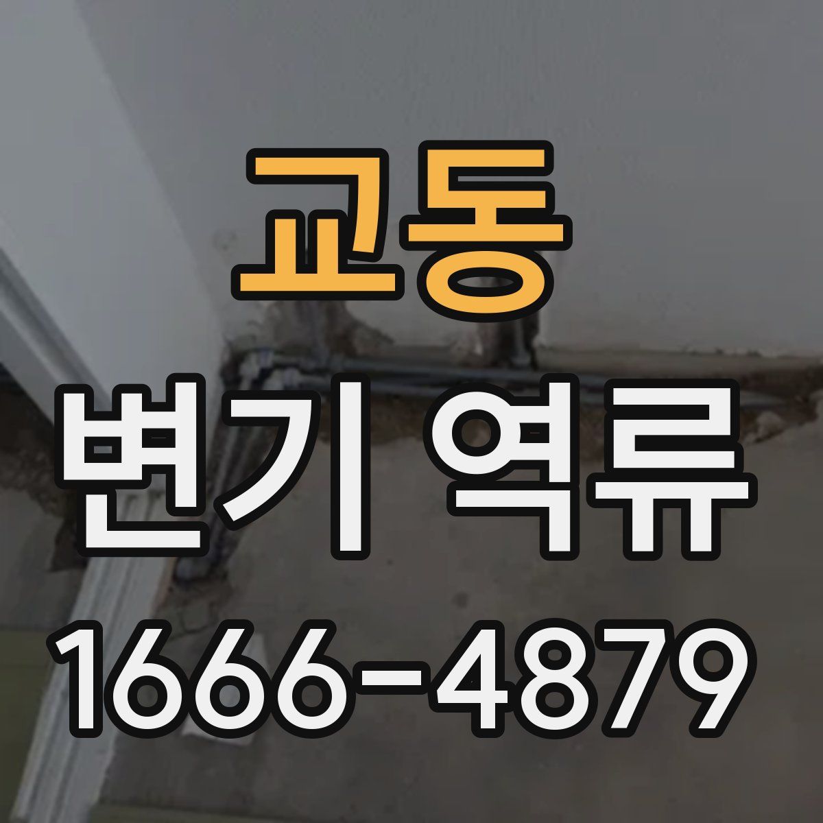 교동 변기 역류